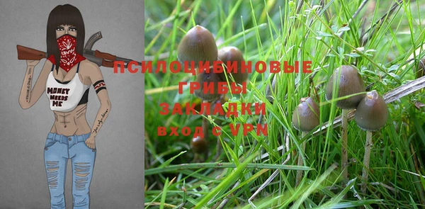 MESCALINE Елизово