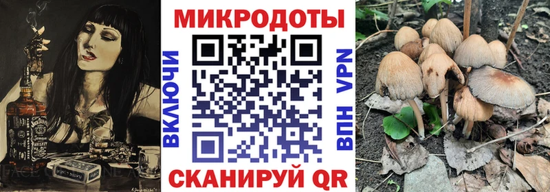 Купить где  Пустошка  Псилоцибиновые грибы Cubensis 