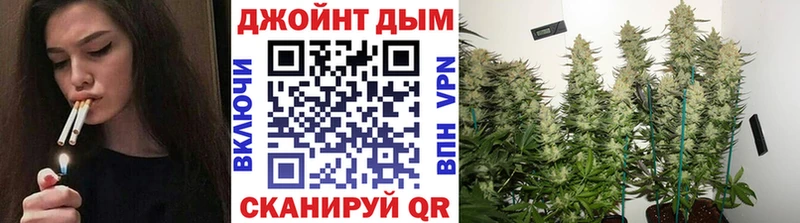 Купить закладки  Пустошка  Бошки марихуана AK-47 